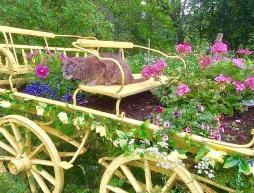 Nya ägare till Drömkåken