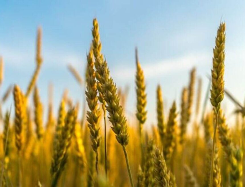 Foto: Ant Rozetsky för Unsplash