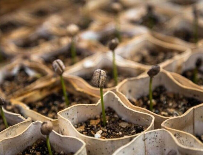 Foto: Christian Joudrey för Unsplash