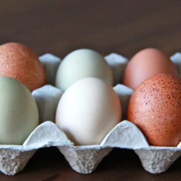 Foto: Robert Kwok, Robbans bästa