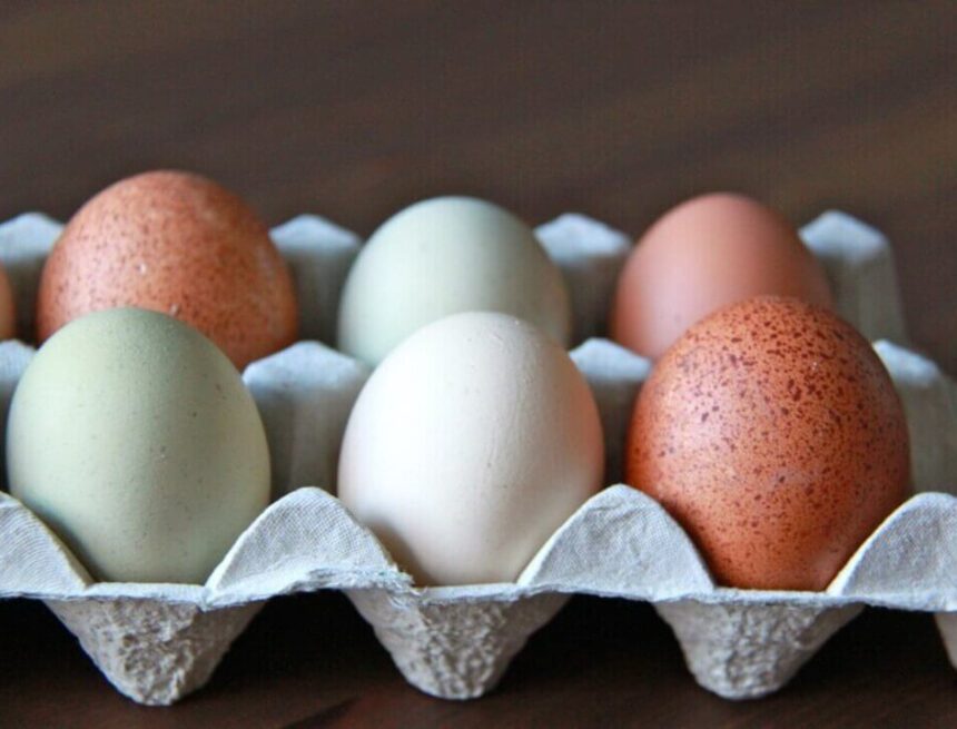 Foto: Robert Kwok, Robbans bästa