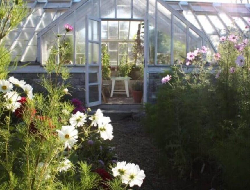 Gofika på Äppelfabriken