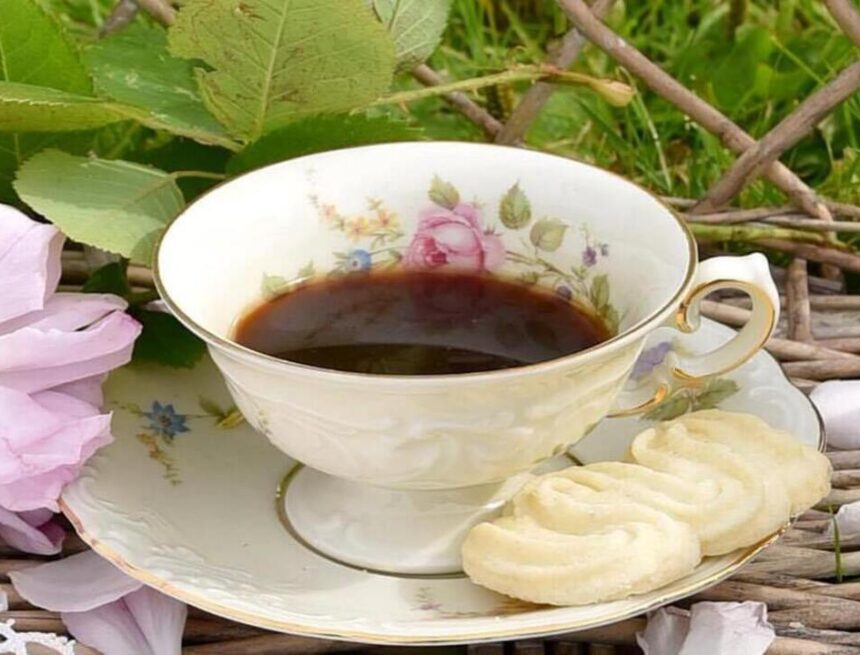 Veckans blogg – Küsten är klar