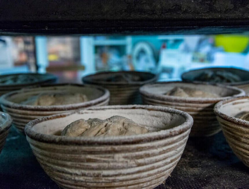 Fullkornet kan lära av surdegen