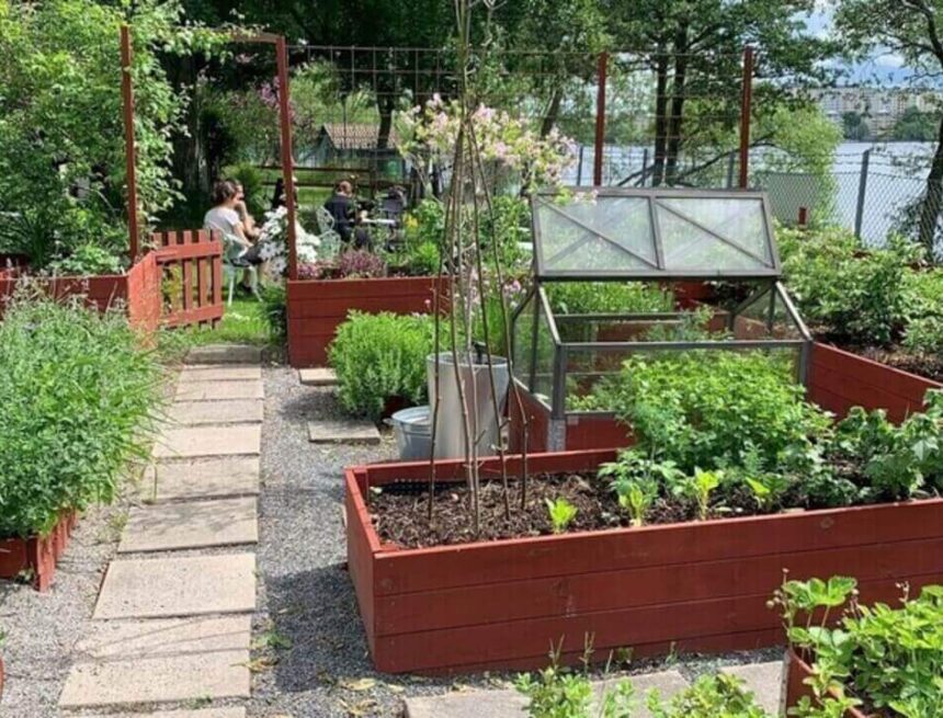 Fikatips: Hufvudsta parkcafé