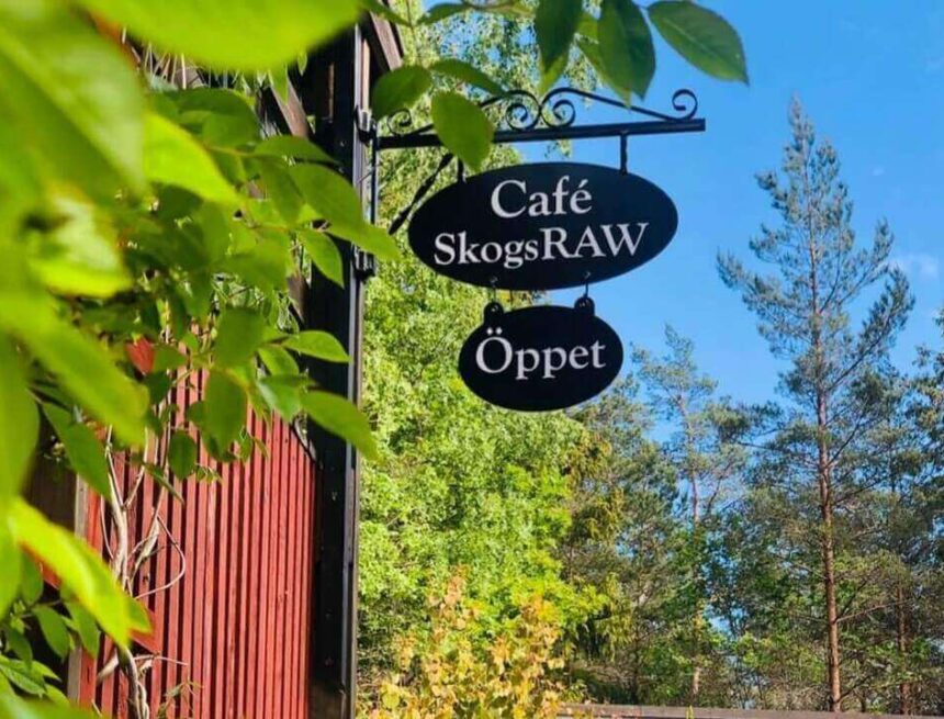 Sommarkafé: Skogs RAW