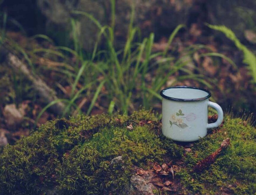 Foto: Anna Zakharova på Unsplash