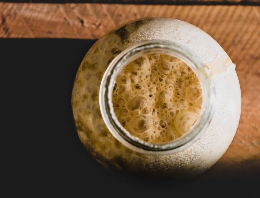 Så startar du en surdeg