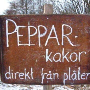 Smakrika pepparkakor värda att testa – mina favoriter